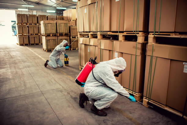 Best Flea Control Services  in Cottonwood Shores, TX