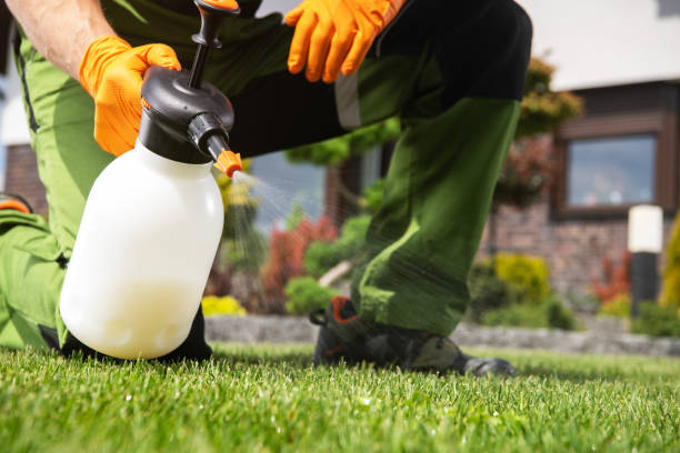 Bird Control in Cottonwood Shores, TX