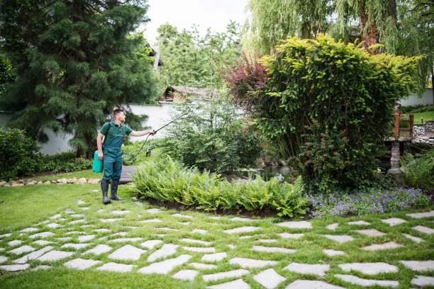 Best Pest Inspection Near Me  in Cottonwood Shores, TX