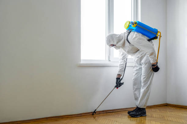 Best Pest Control for Restaurants  in Cottonwood Shores, TX