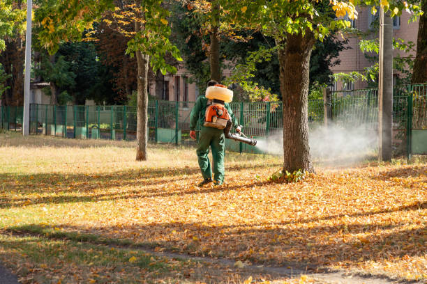 Pest Control for Restaurants in Cottonwood Shores, TX