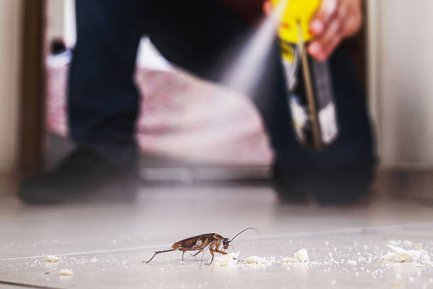 Pest Control Cost in Cottonwood Shores, TX